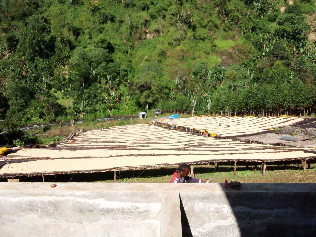 Supernatural™ - Medium Roast