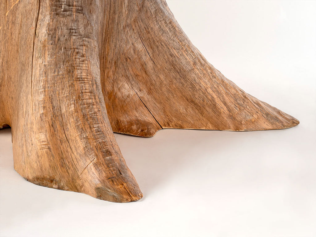 Silver Maple w/ Northern White Cedar Stump