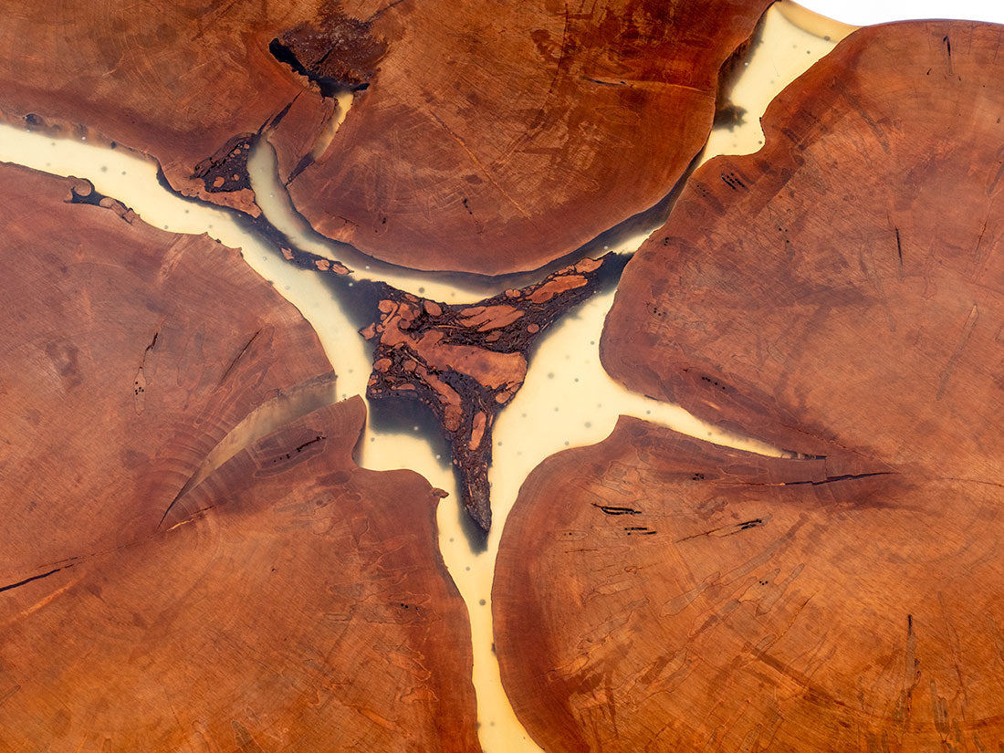 3 Heart Red Ambrosia Maple w/ Starfruit Legs