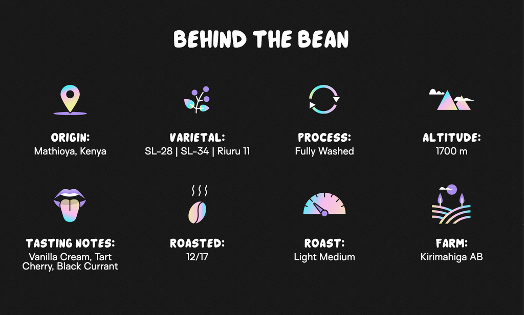 New Light™ - Medium Roast