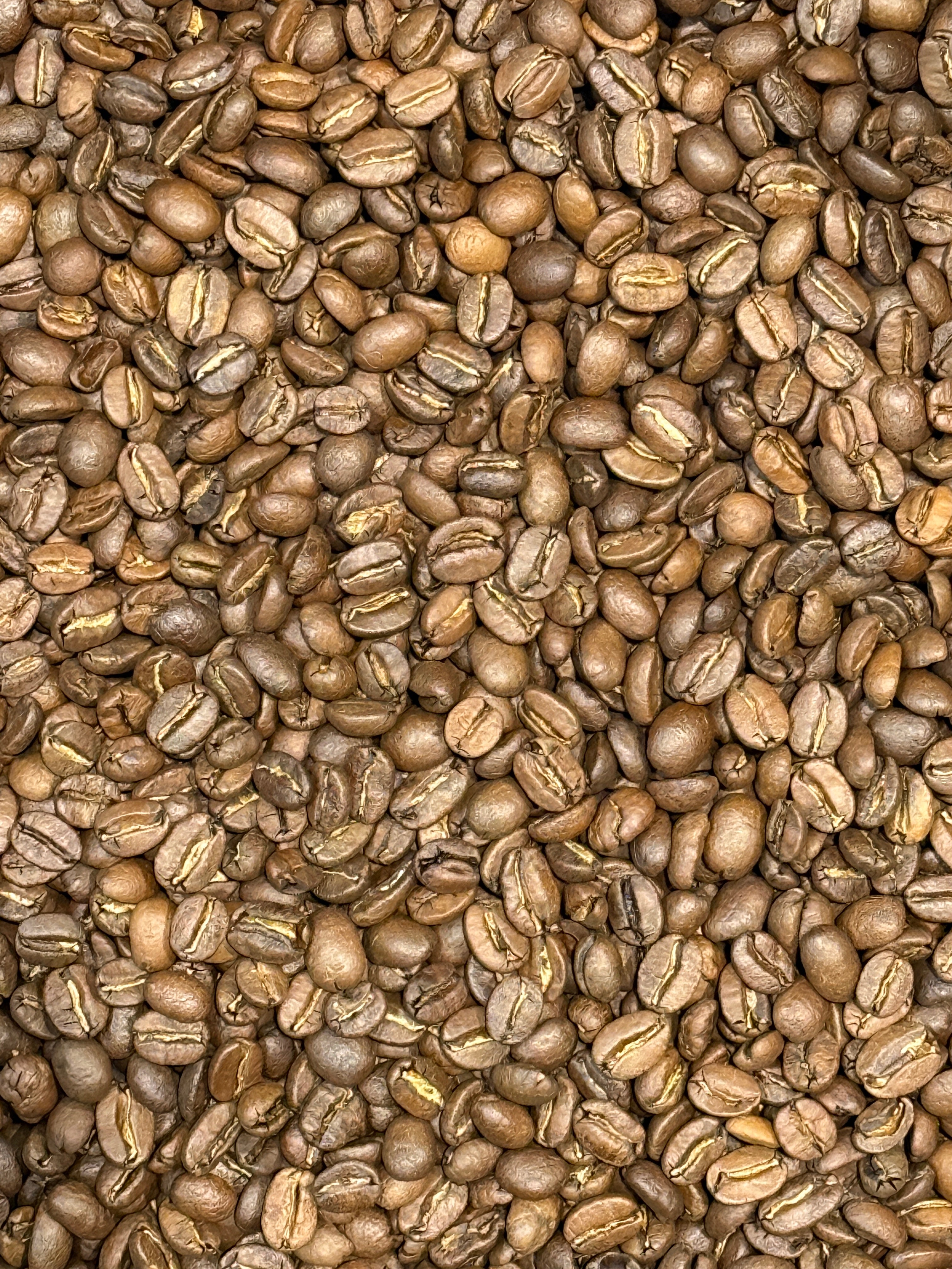 Supernatural™ - Medium Roast